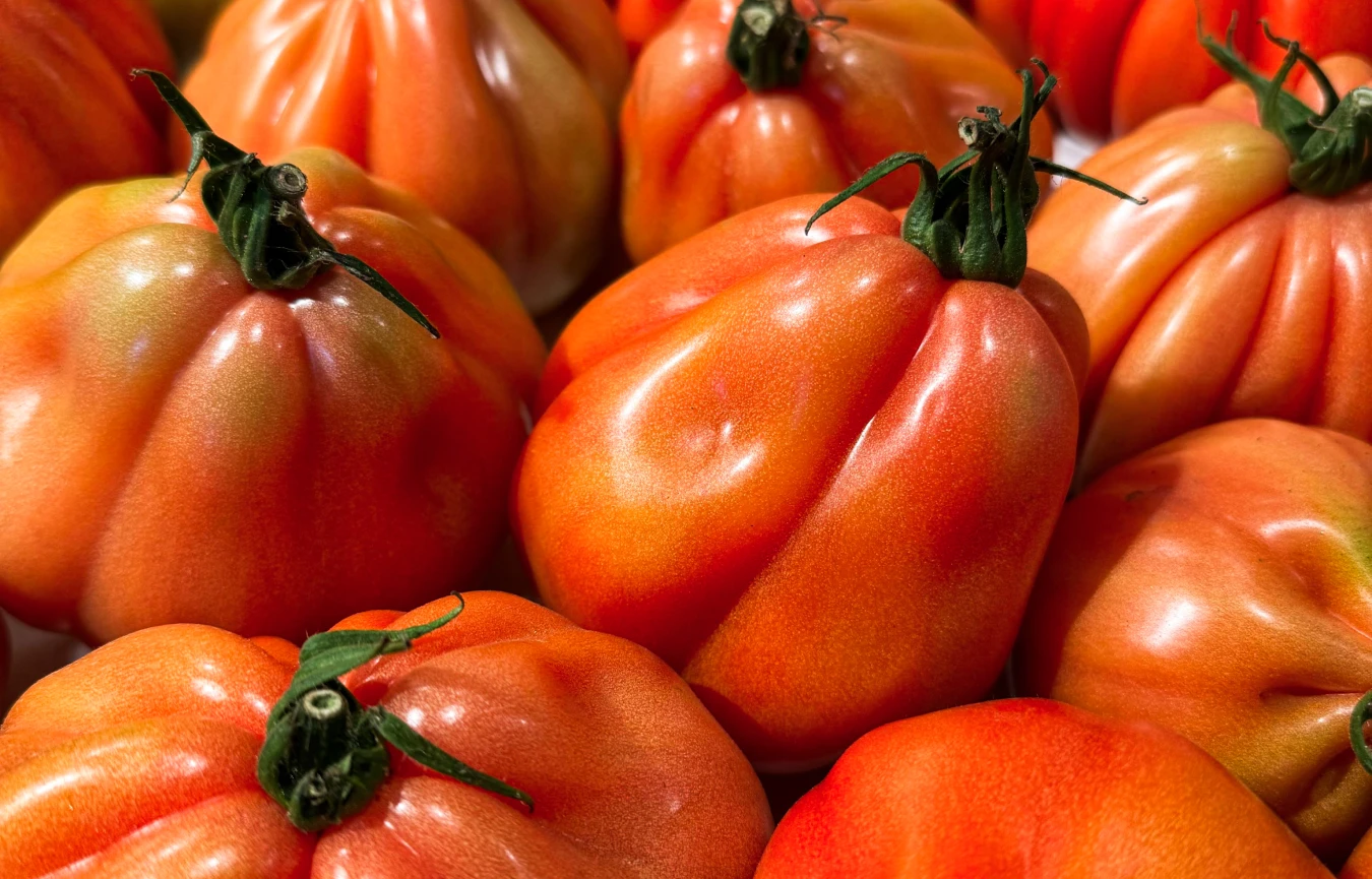 Ortofrutta selezionata da Borello